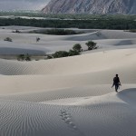 Ladakh - Nubra Photographer