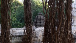 The temple at Mahakoota and the aerial roots of a ficus tree.