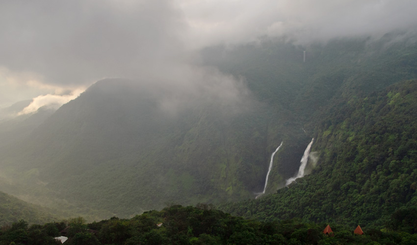 Rainforest-Rendezvous-Goa-1