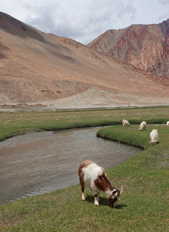 Landscape of Ladakh