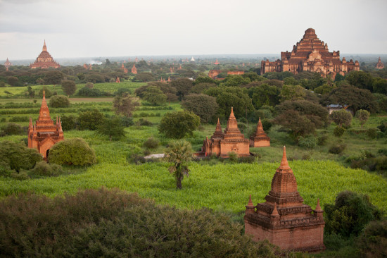 Expanse of Pagodas in Bagan