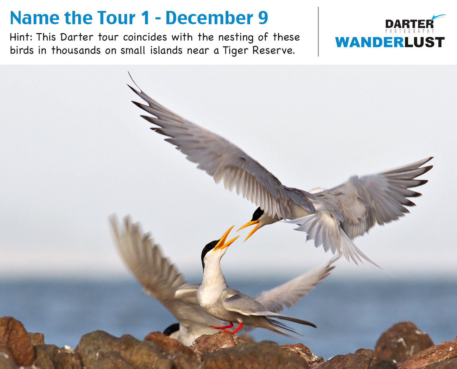 Name the Tour Contest – Question 1 Winners