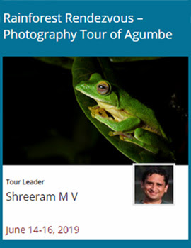 Agumbe