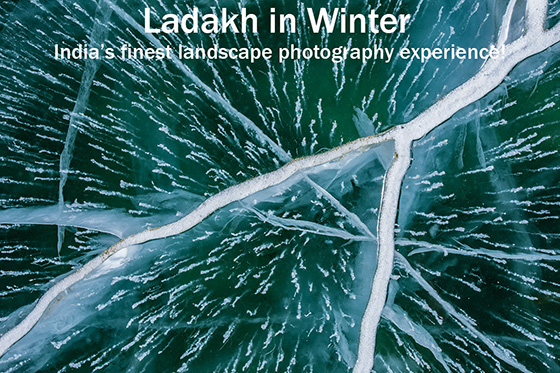 ladakh in winter
