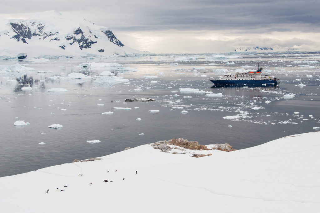 Of Highways And Thieves - Stories Of Penguins From The Antarctic 