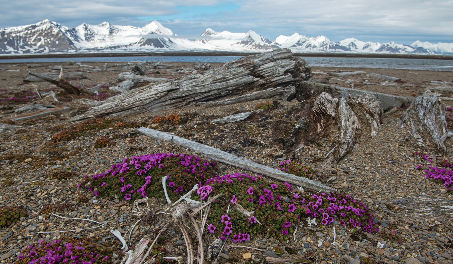 Svalbard07