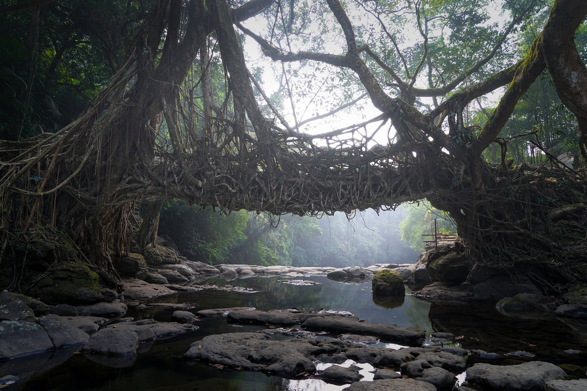 Meghalaya-Waterfalls00019