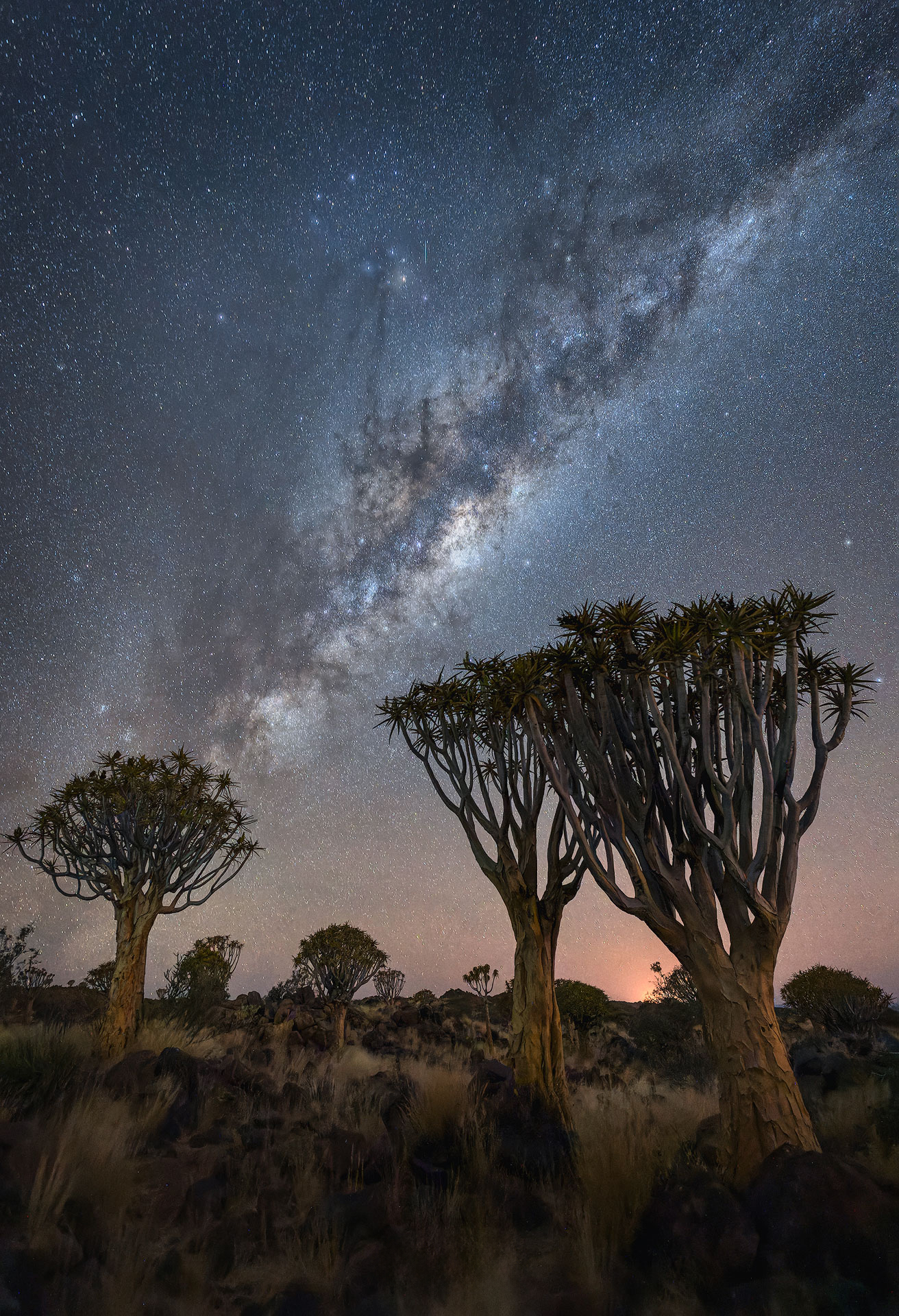 Namibia Desert Night Sky, Namibia Phot Tour  Landscape, Culture and Wildlife Photography trip