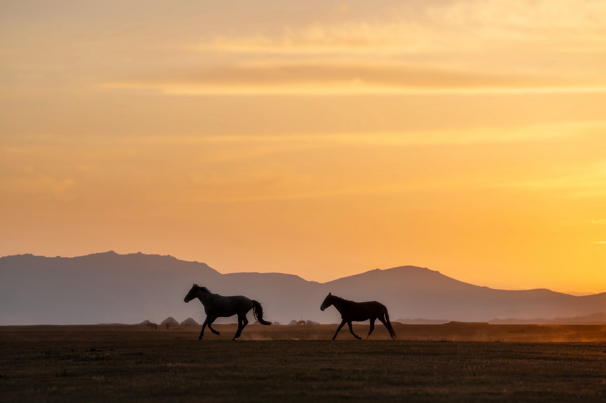 Kyrgyzstan-Horses-Song-Kul-Sunset