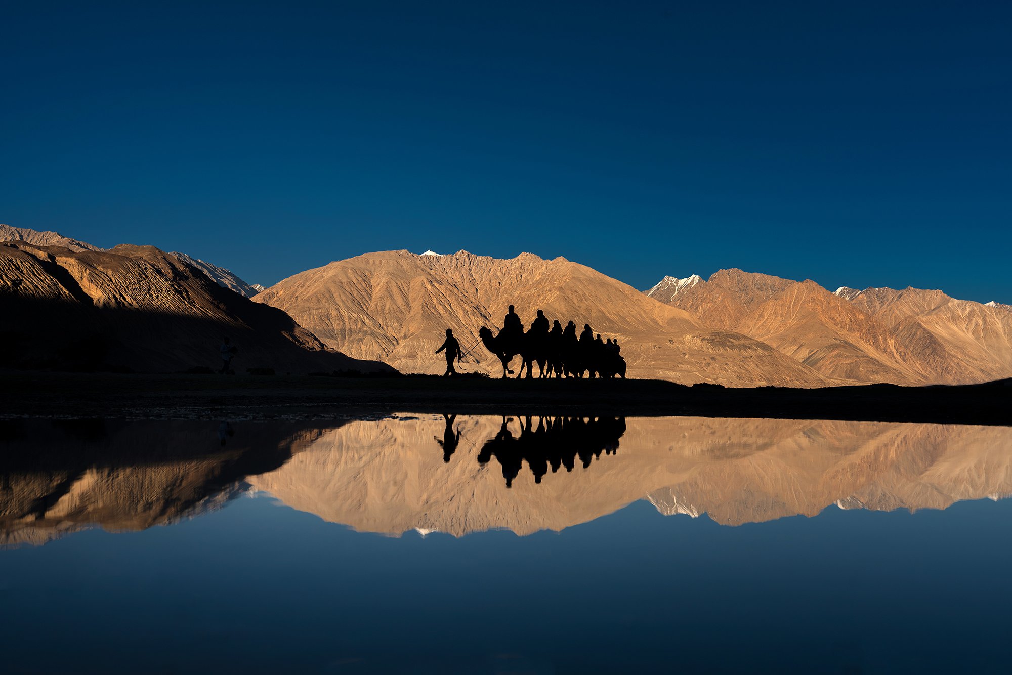 Nubra-Valley-and-Camels-at-sunset_1