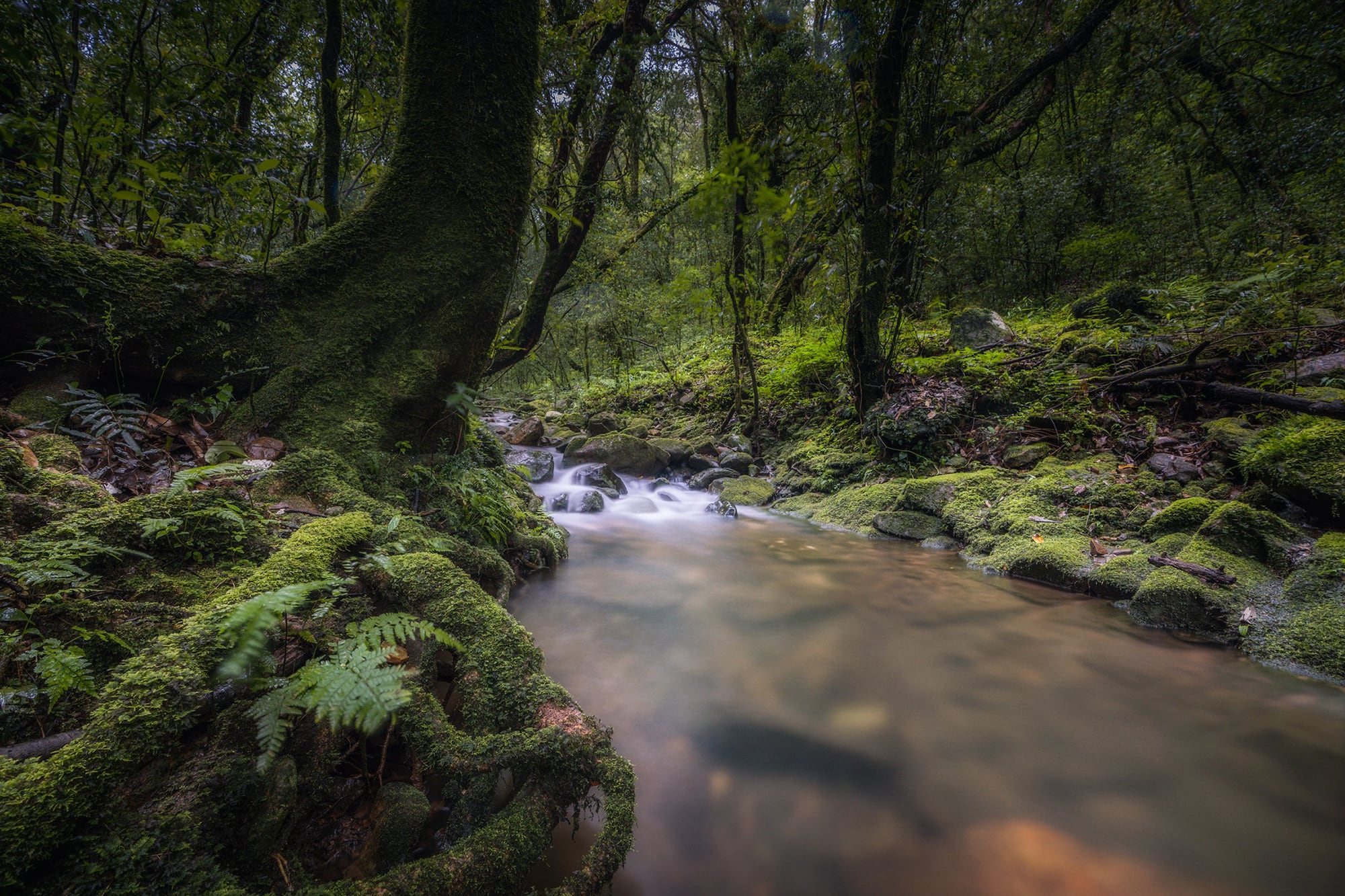 Meghalaya-Waterfalls0936