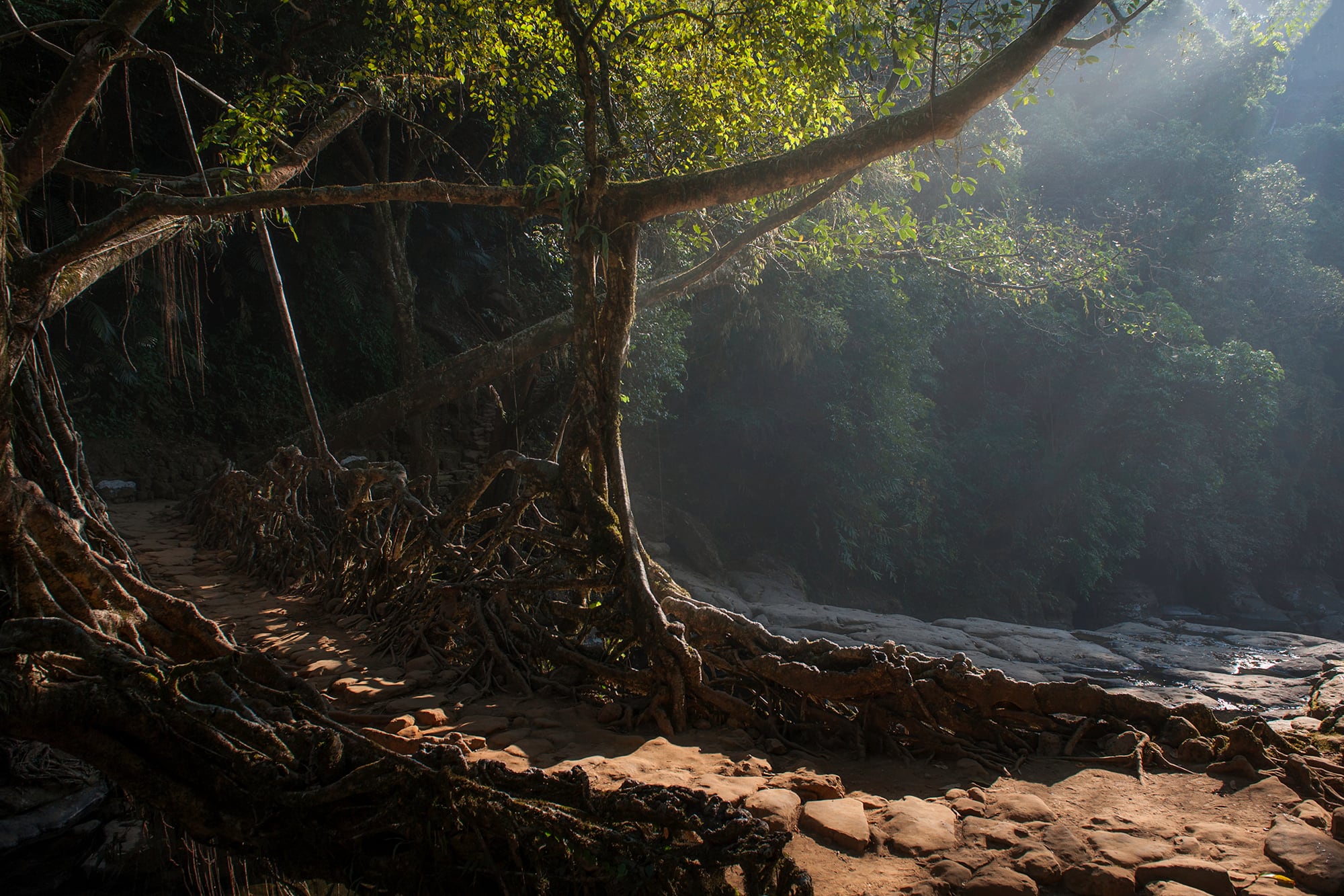 Meghalaya-Waterfalls2542