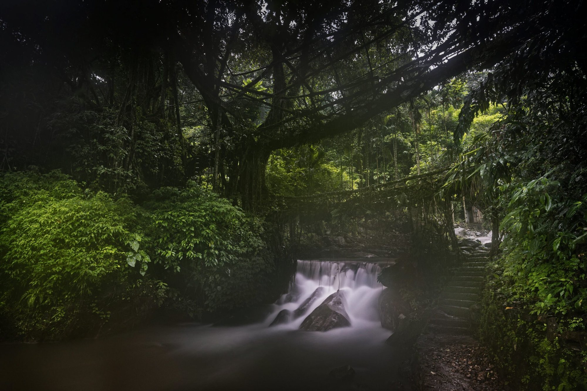 Meghalaya-WaterfallsDSC0712-I