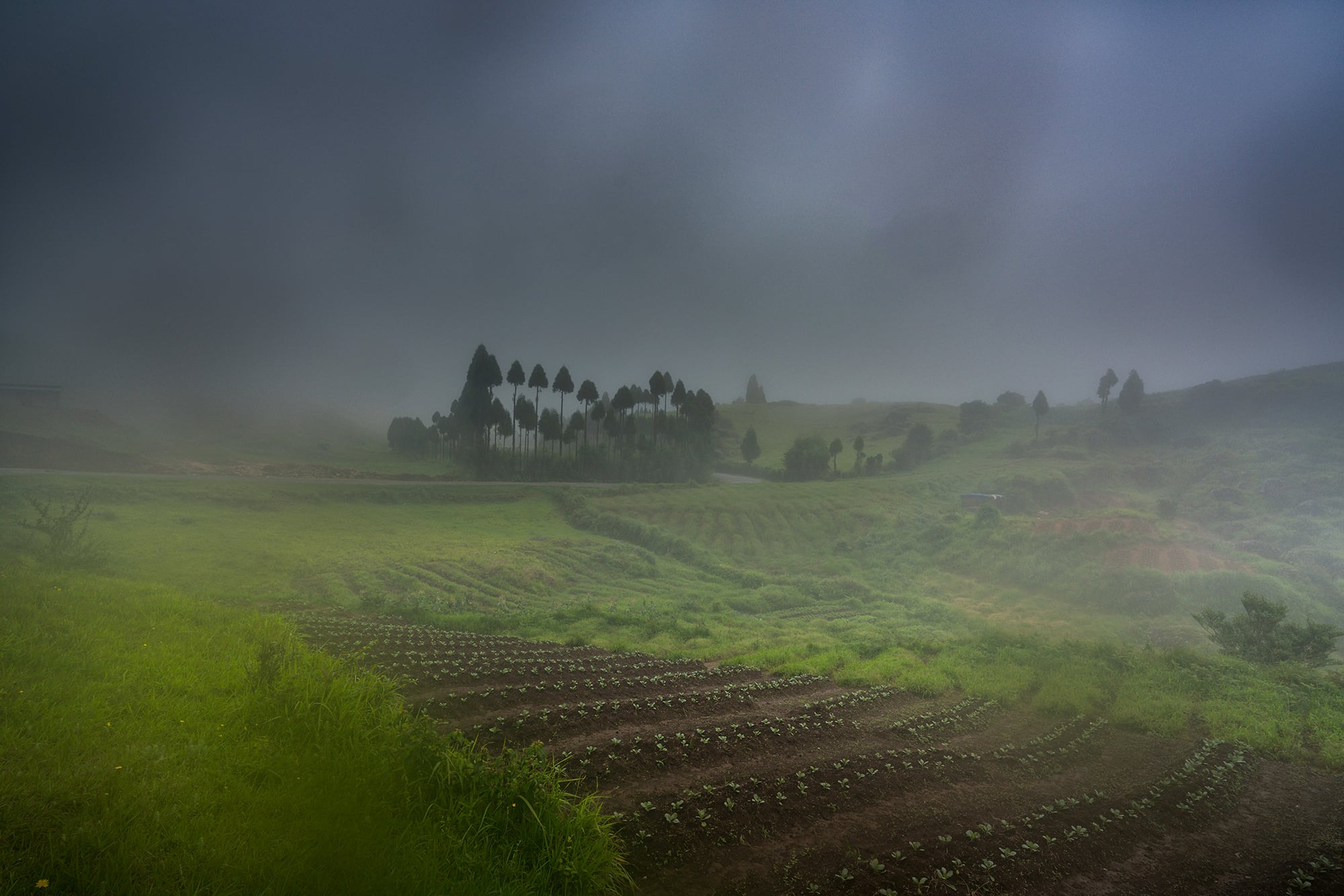 Meghalaya-WaterfallsDSC0757Meghalaya-WaterfallsI
