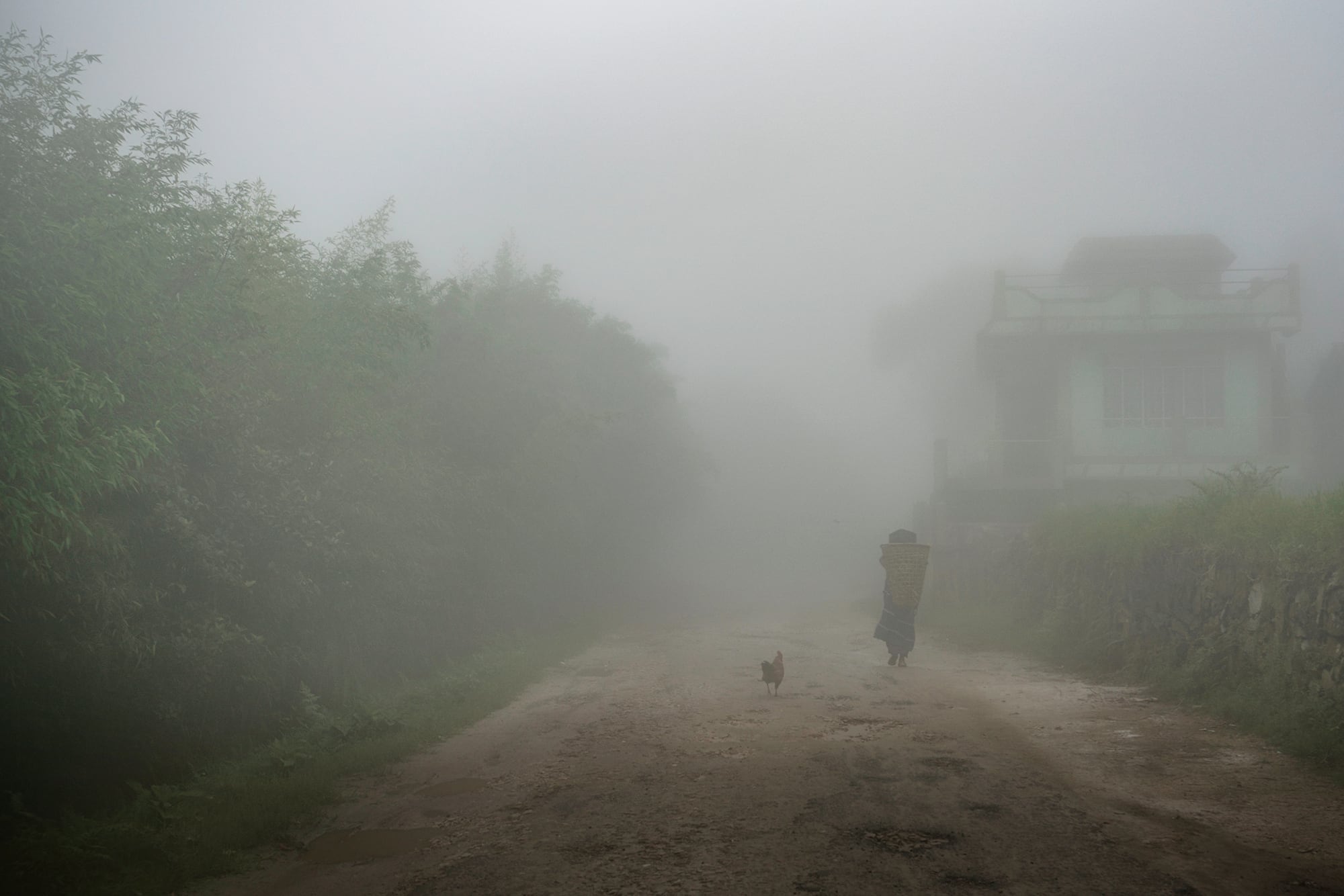Meghalaya-WaterfallsDSC0765