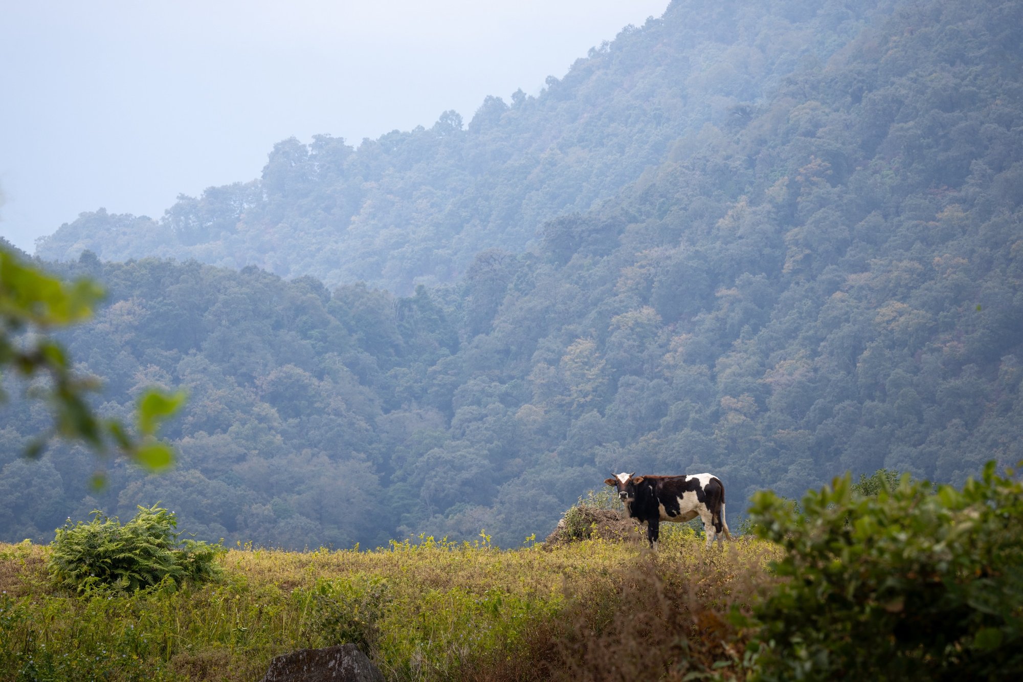 2023_08_24_20_37_IMG_0868