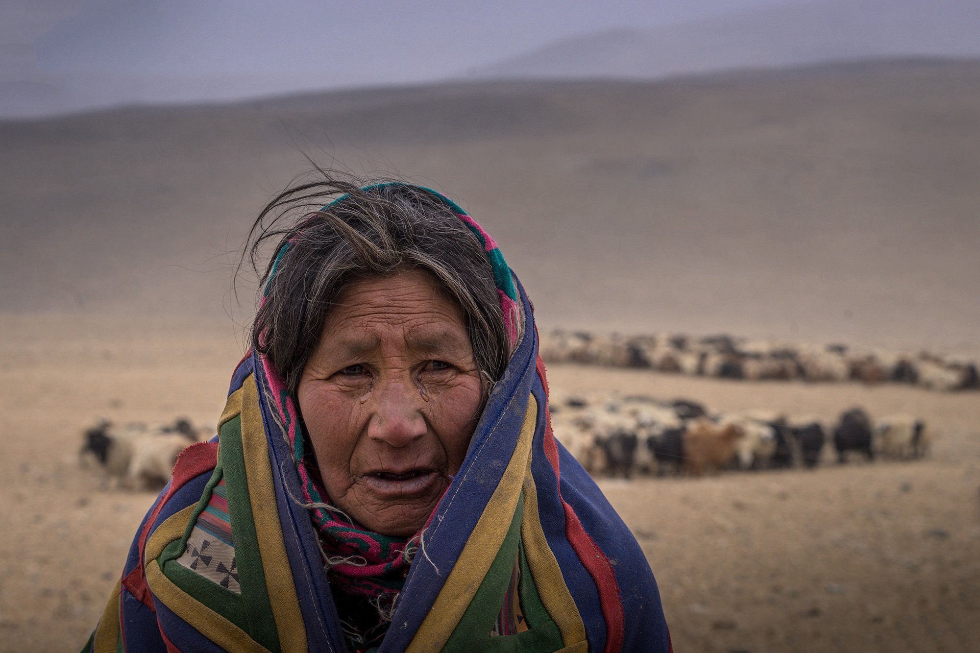 Changpa Woman Ladakh_IMG_2424