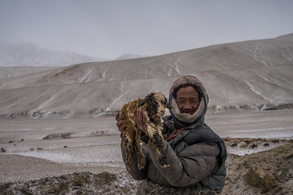 Changpa Man Ladakh IMG_2426
