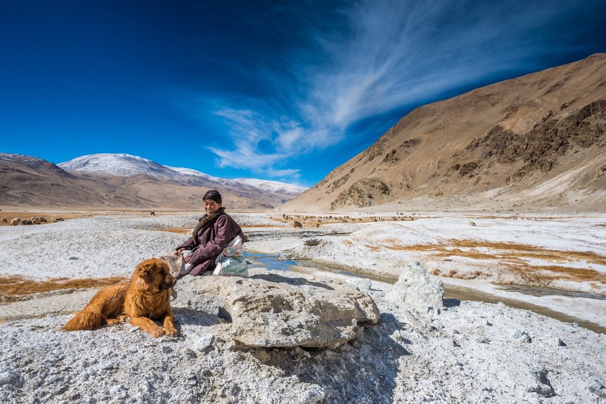 Changpa Young Boy Ladakh