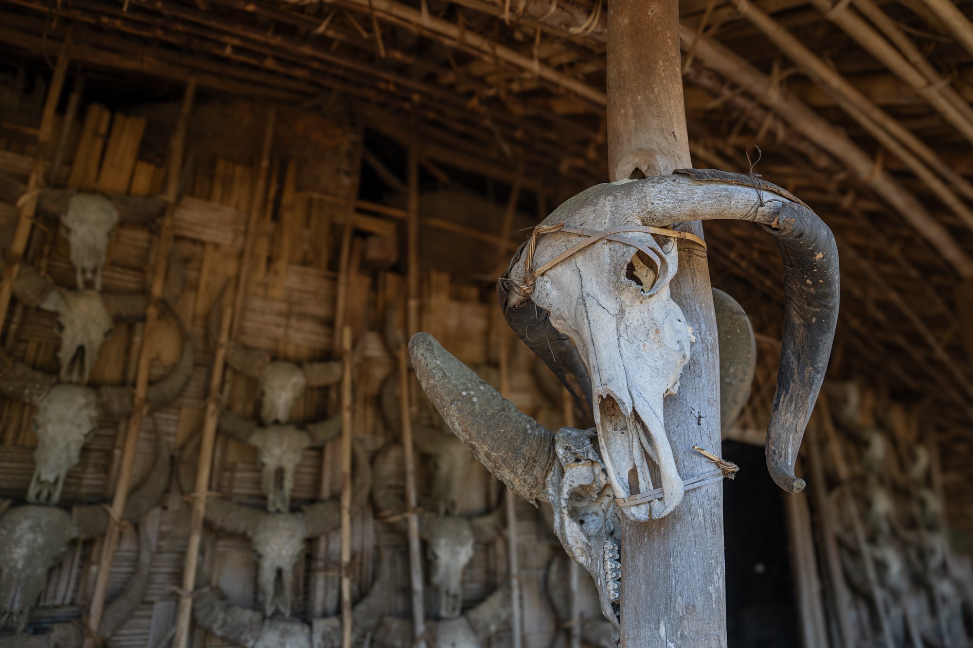 Konyak-Headhunter-Nagaland_9