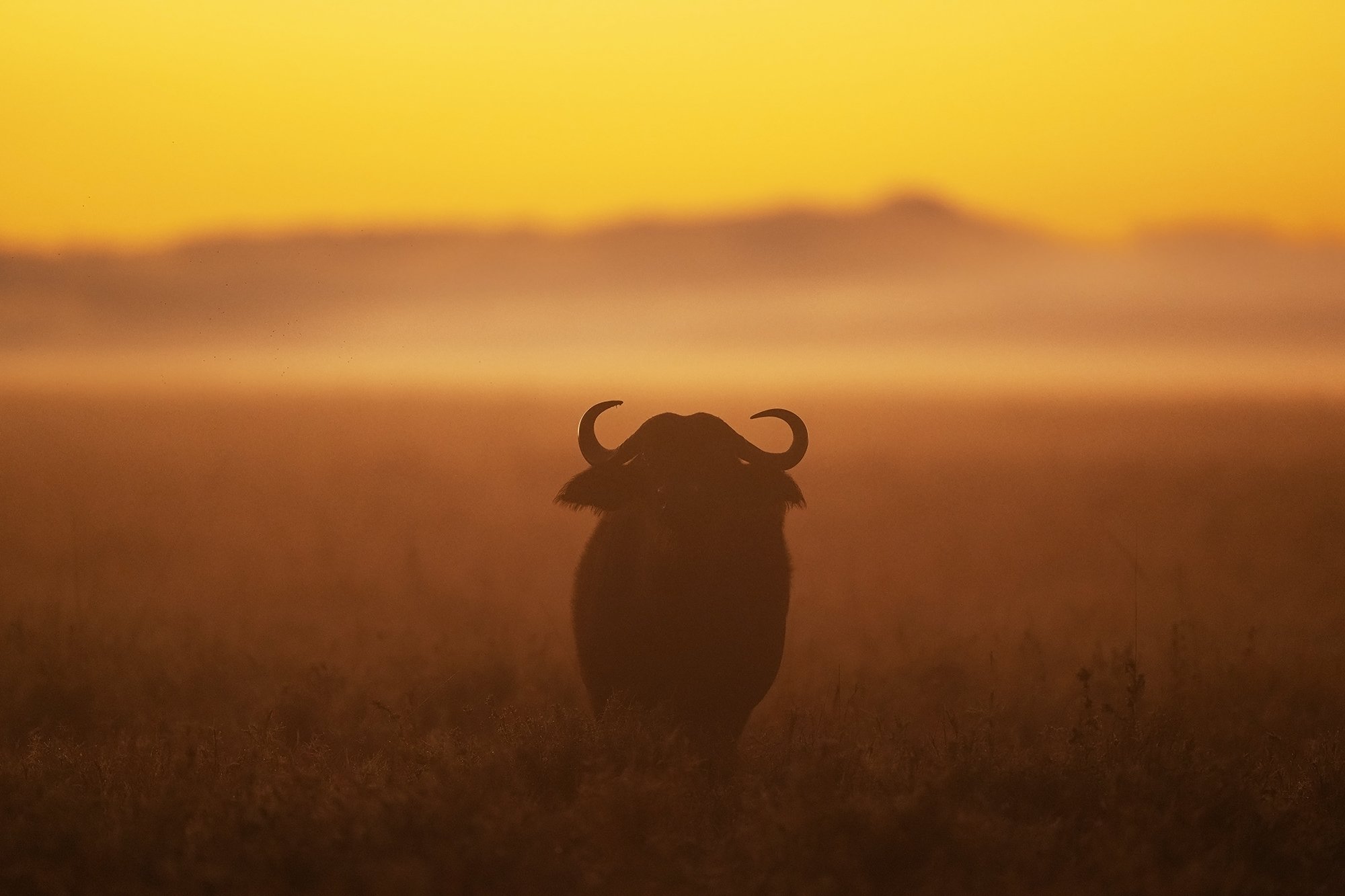 Masai Mara Sunrise