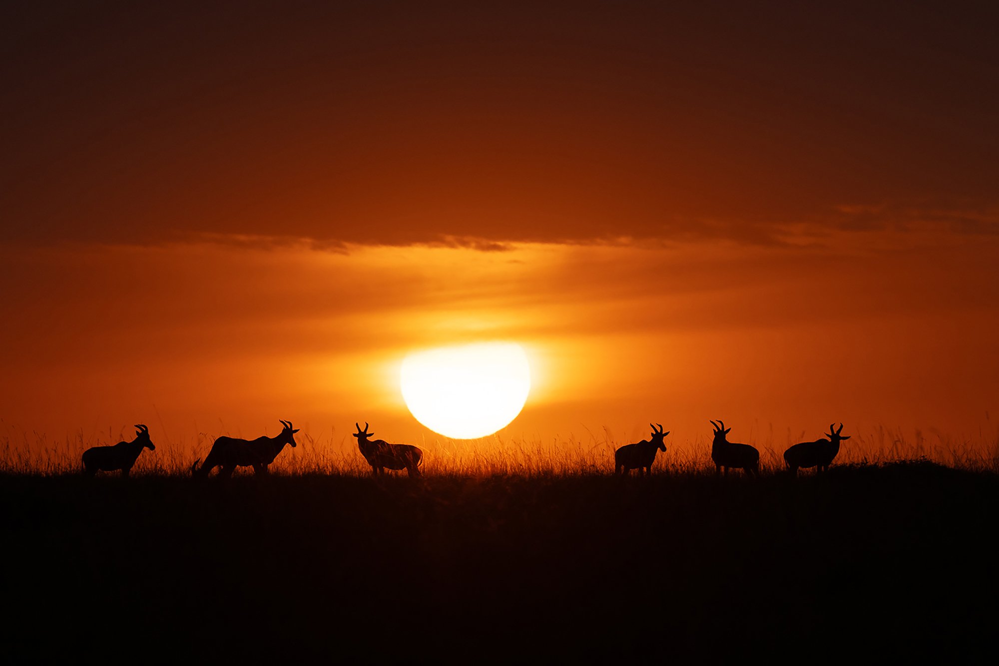 Masai Mara Sunset 1