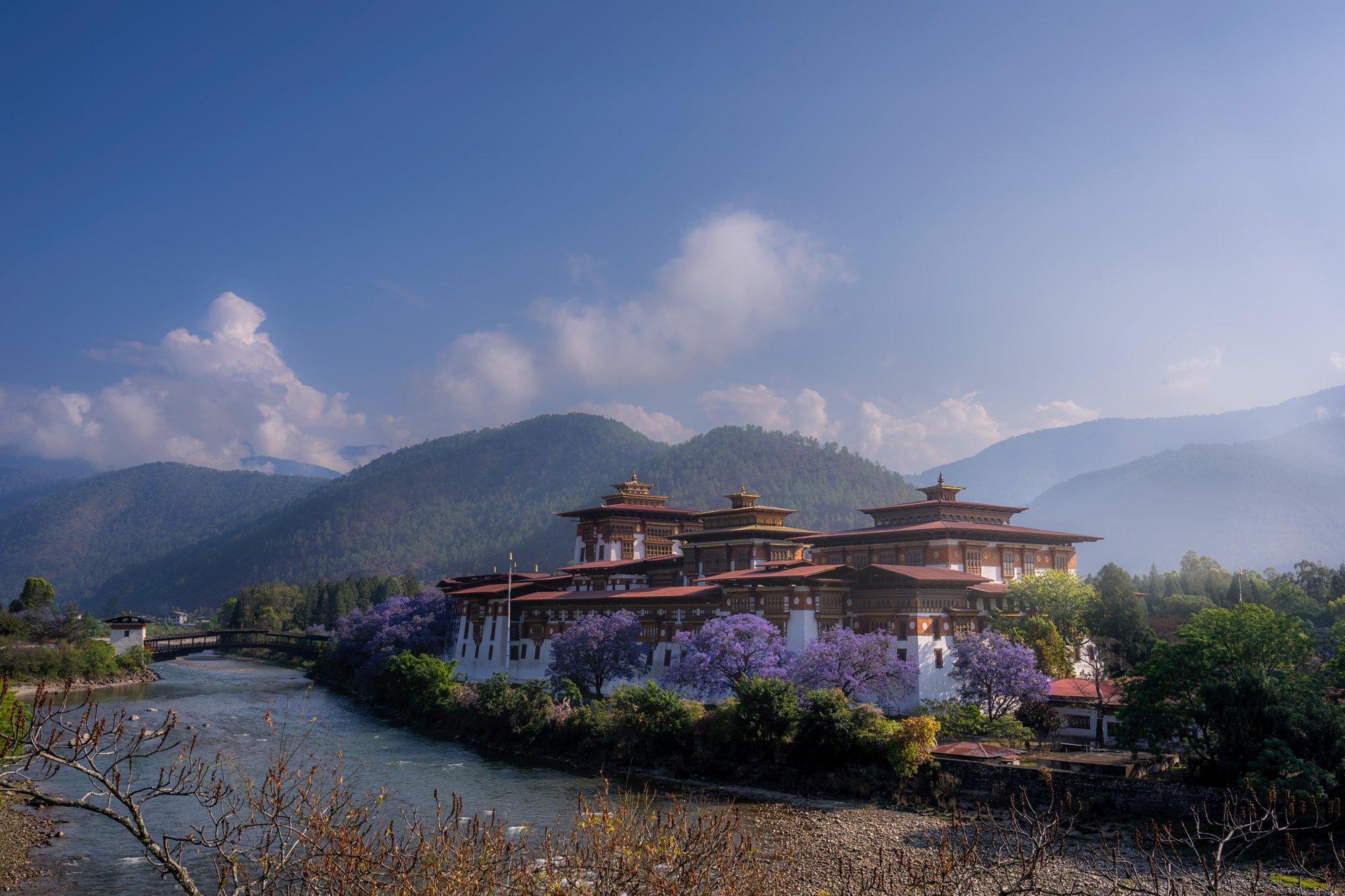 Punkha-Dzong-in-Morning_DSC1769