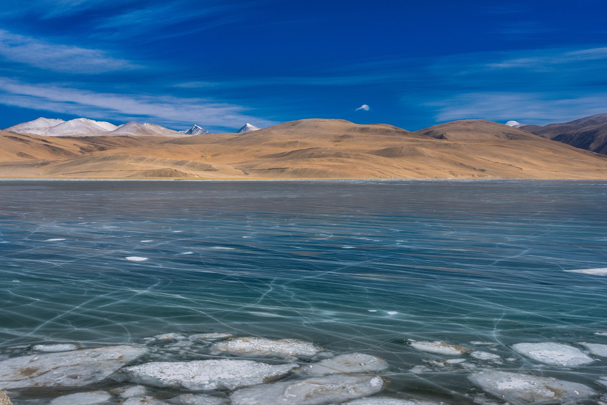 Winter Tso Moriri. Ladakh