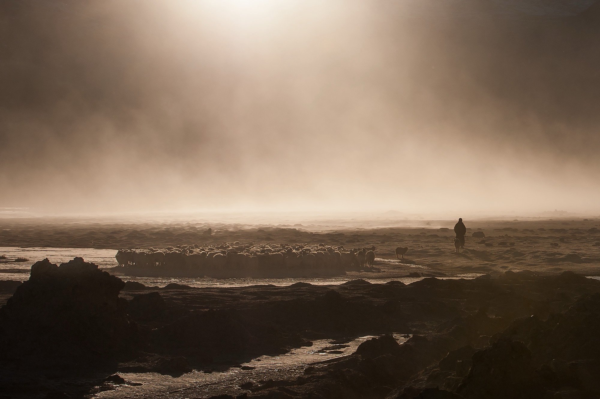 Winter Sunset, Changthang Ladakh