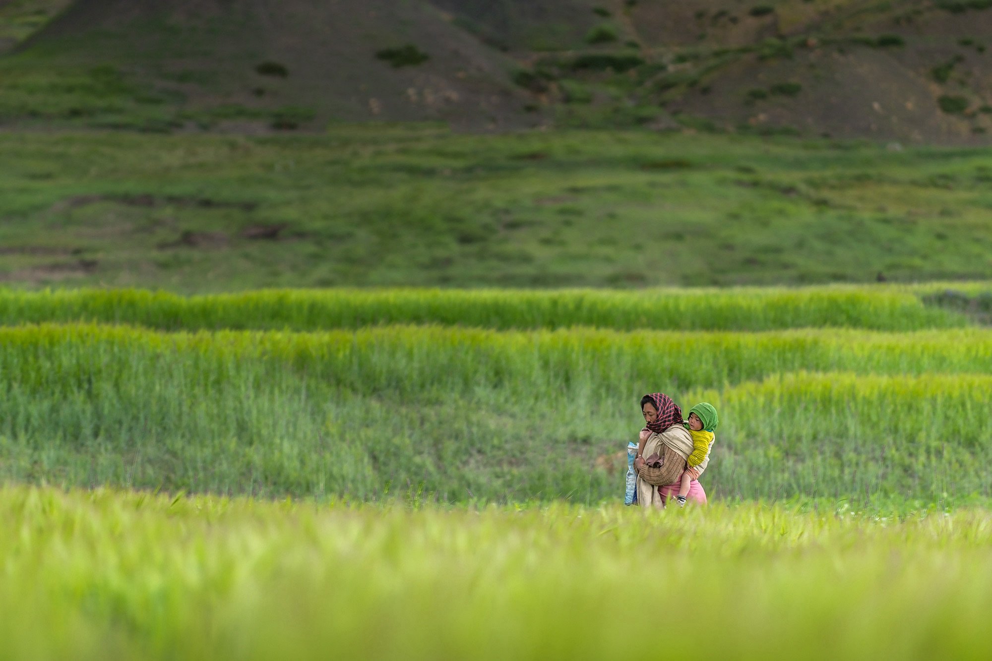 Spiti Valley IMG_2714