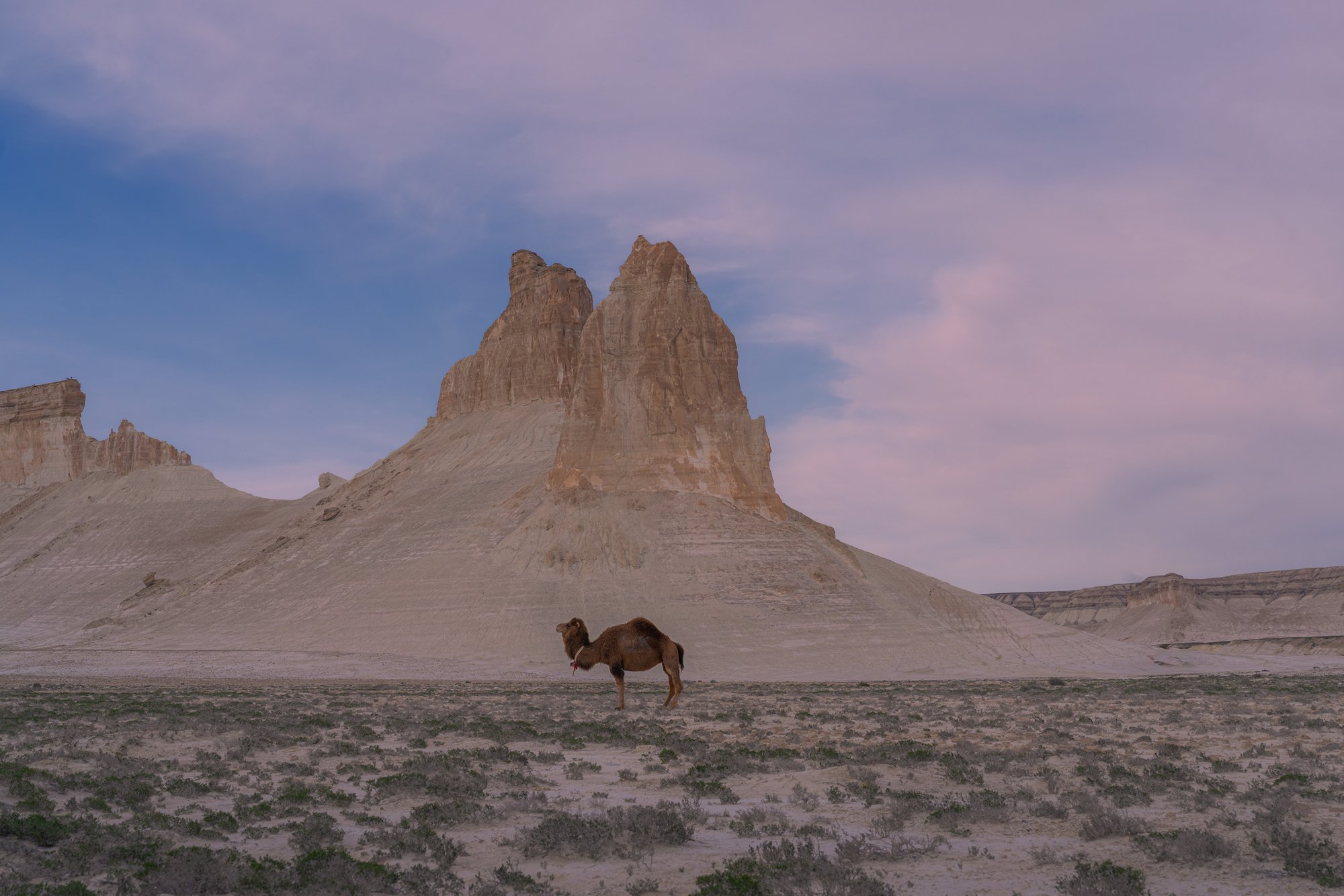 Mangystau Kazakhstan7CR00365