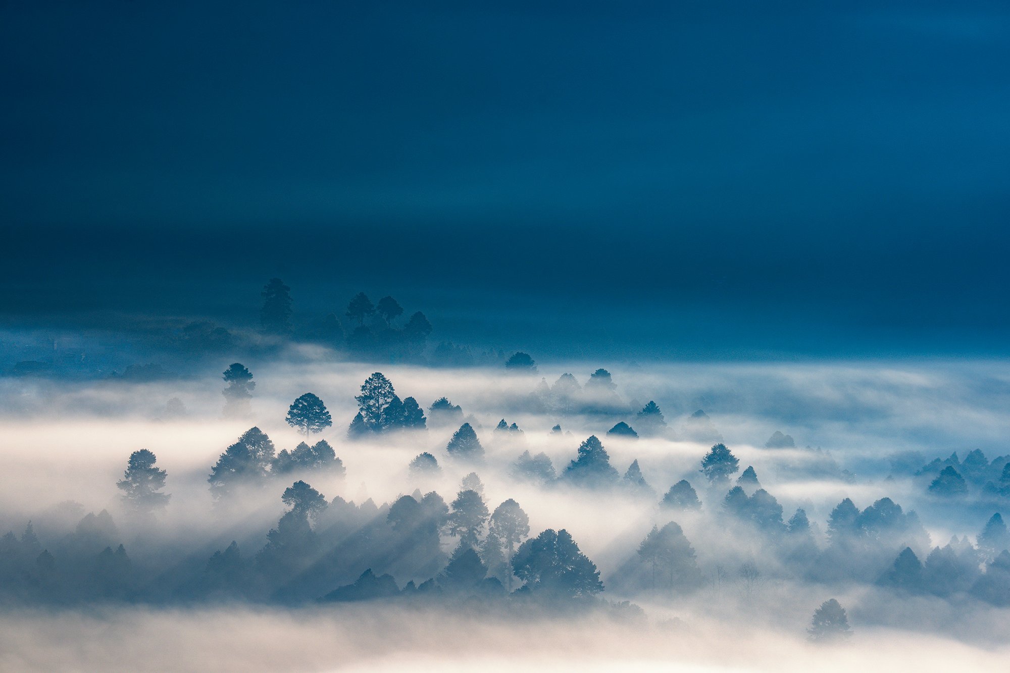 Apatai Ziro Valley_A1_3528