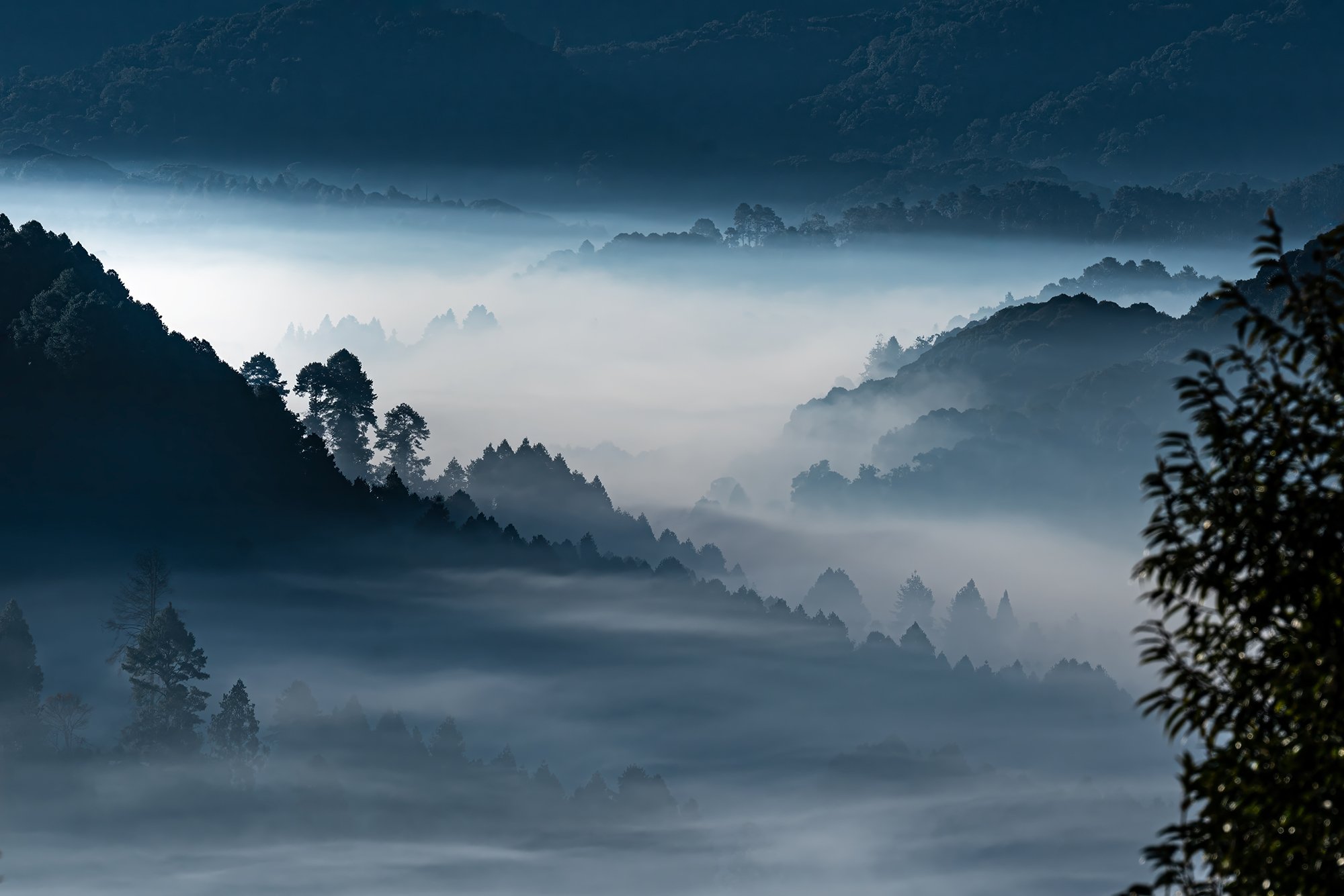 Apatai Ziro Valley_A7R8715