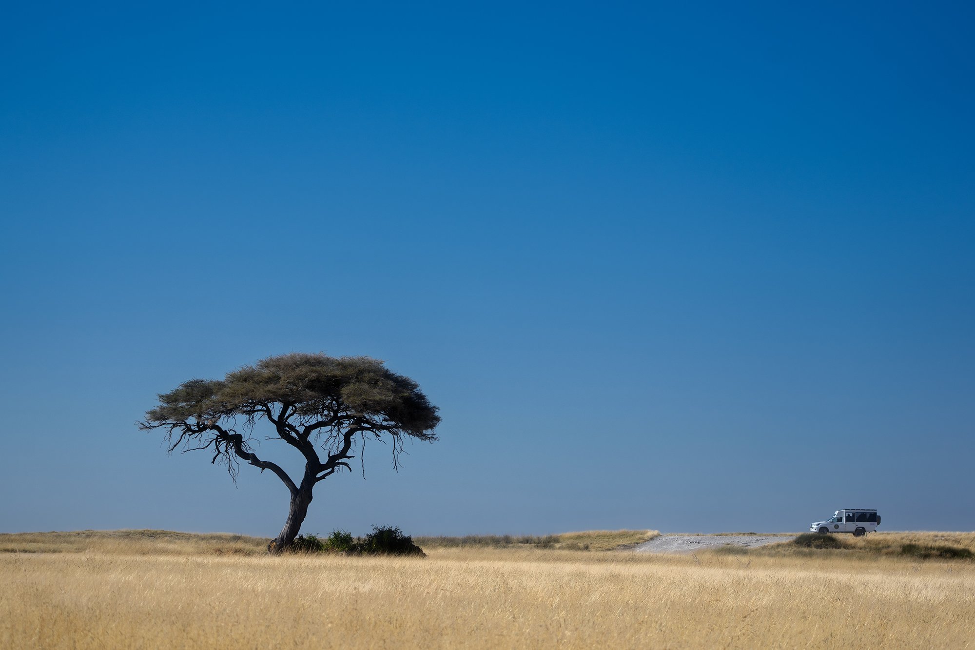 NamibiaN_A1_1361
