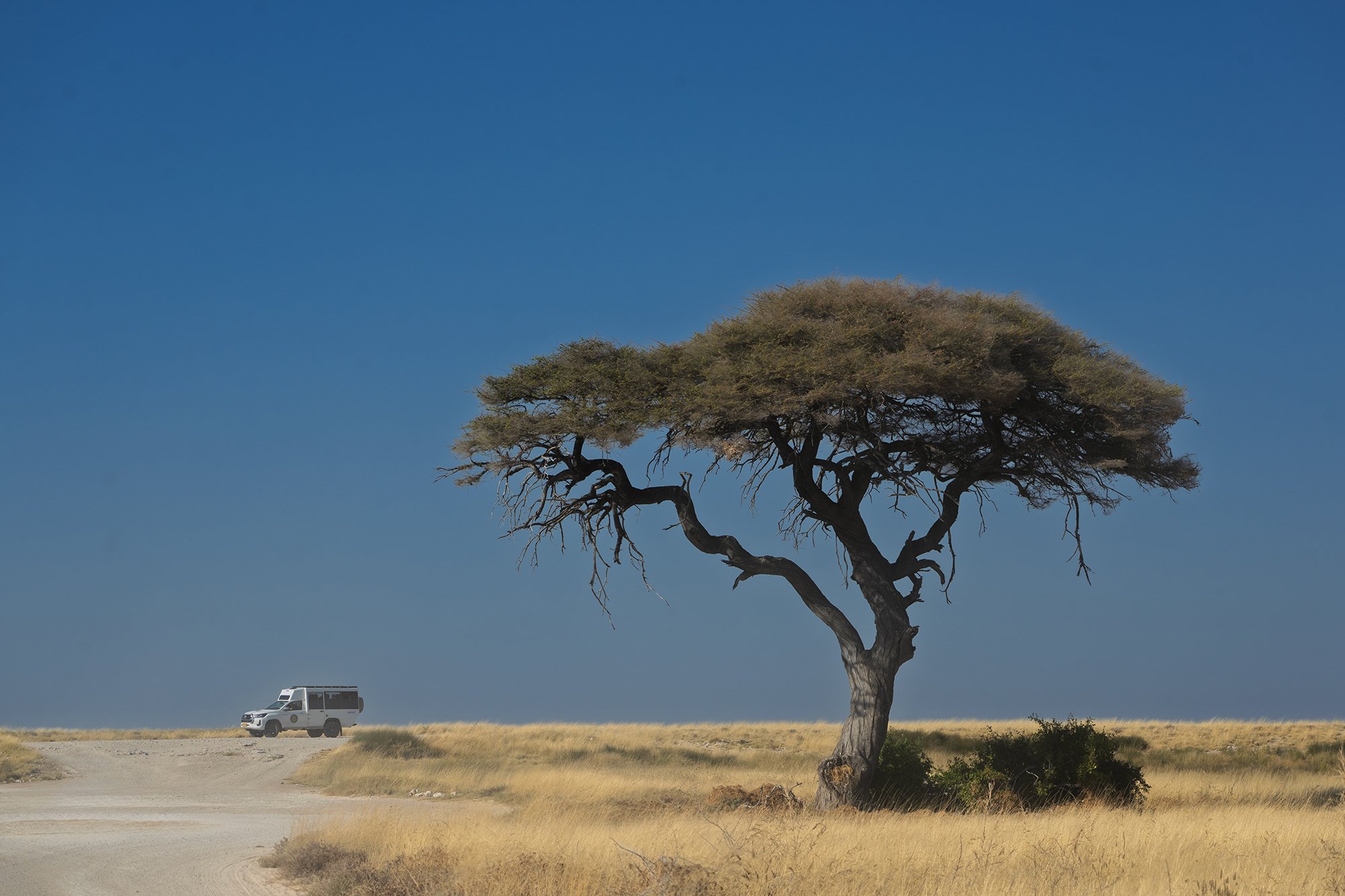NamibiaN_A1_1366