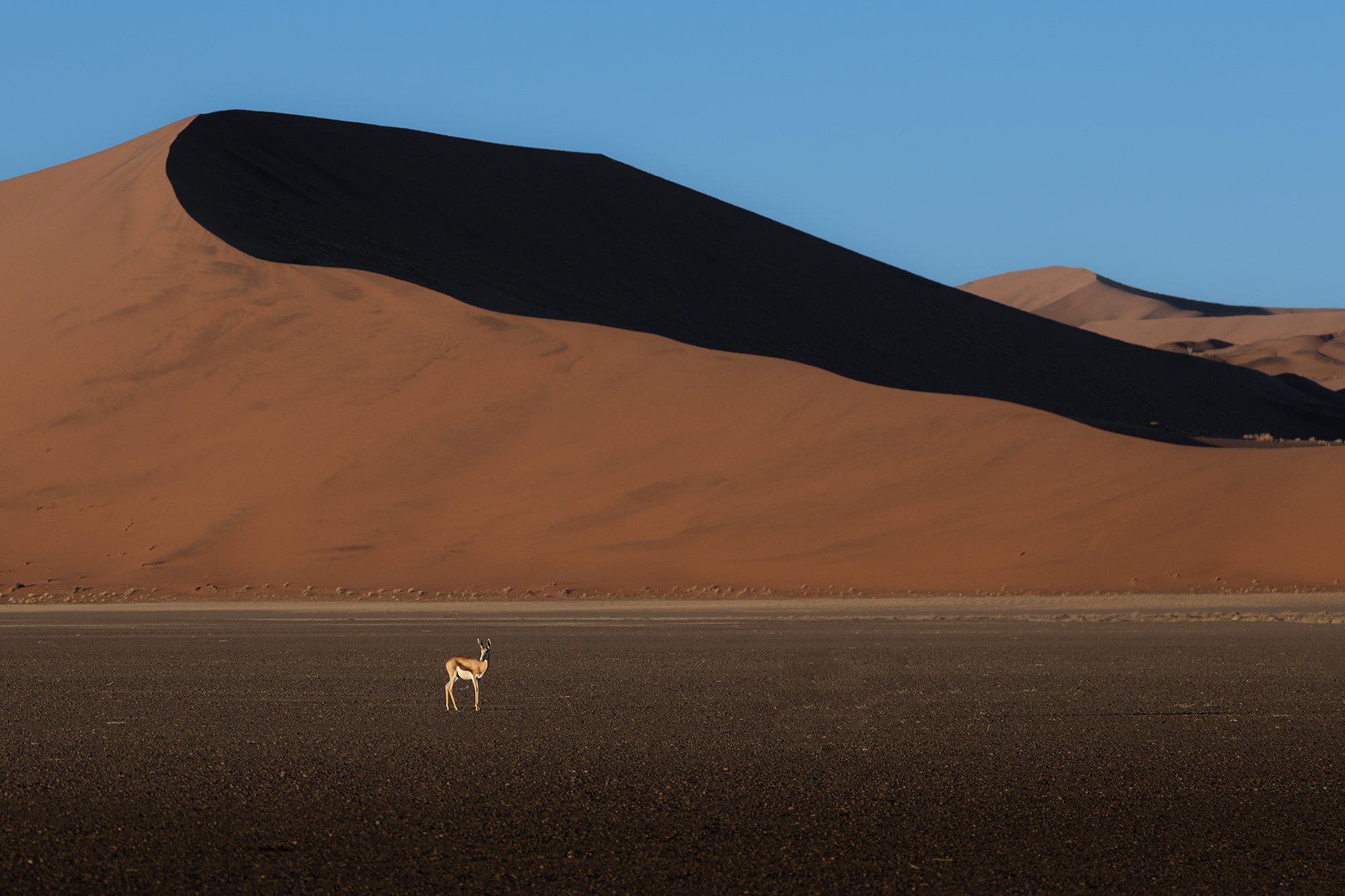 Namibia_A1_8576