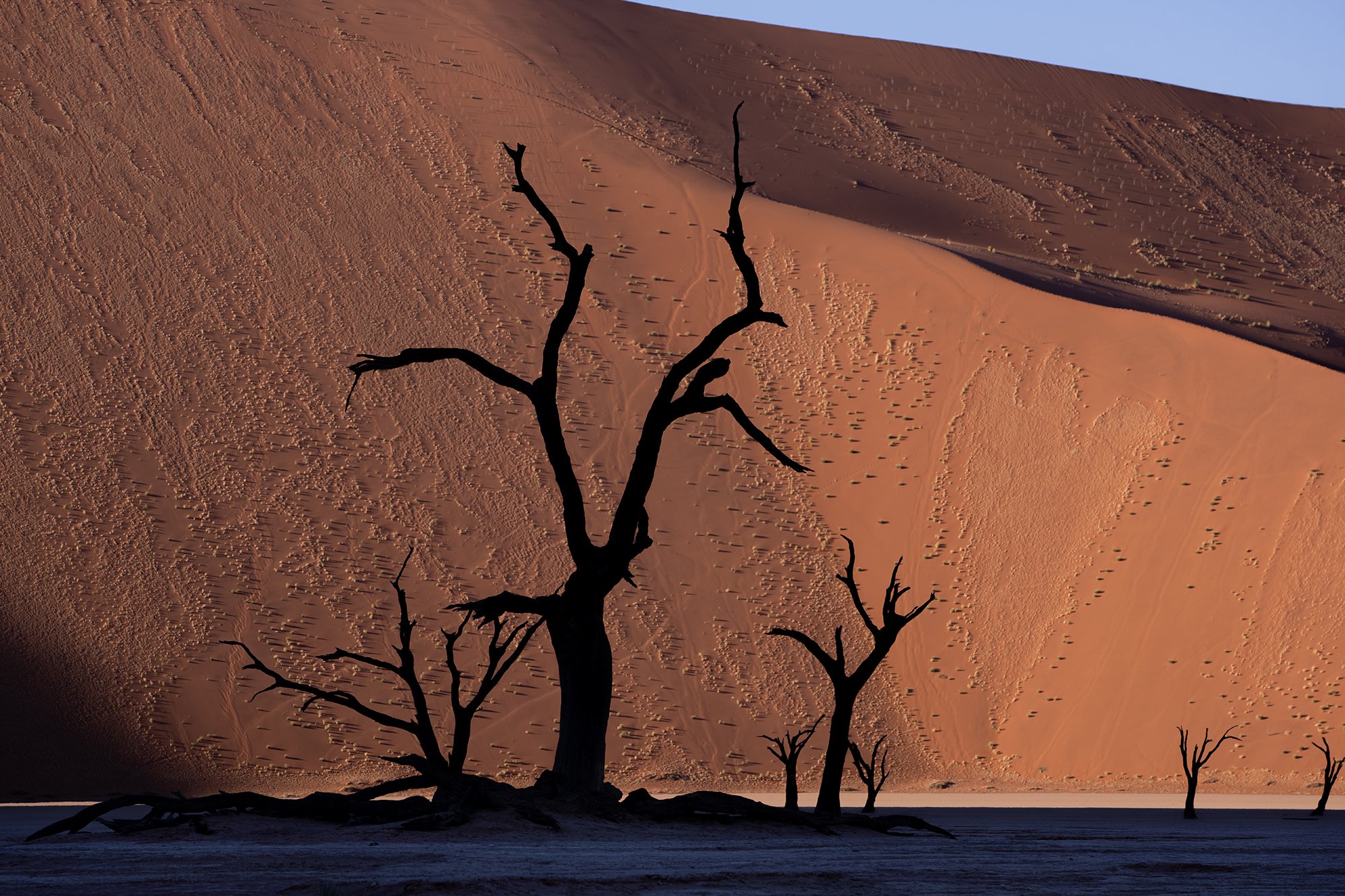 Namibia_A1_8622