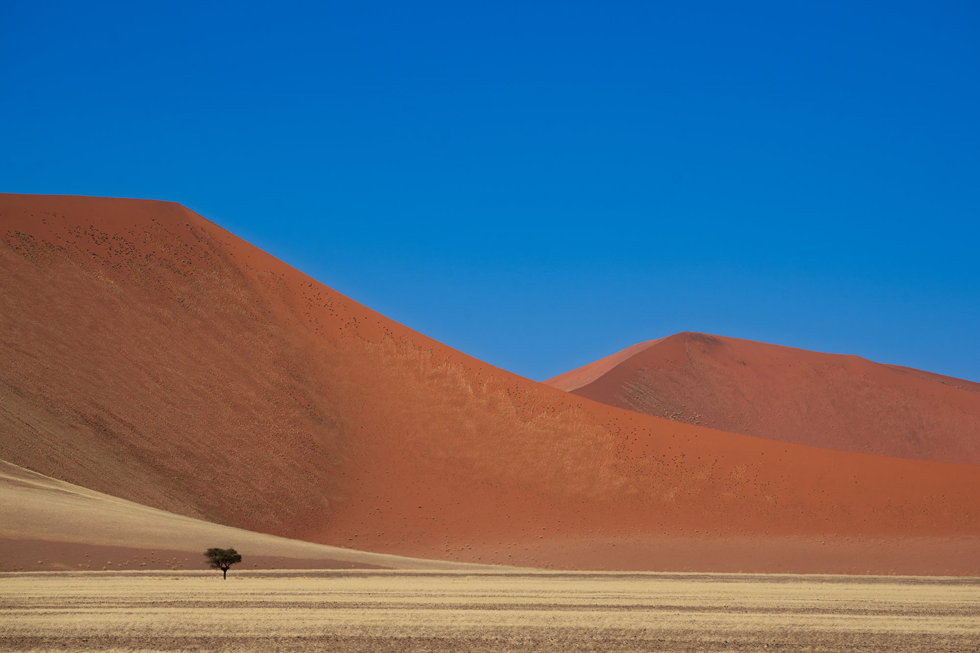 Namibia_A1_8724