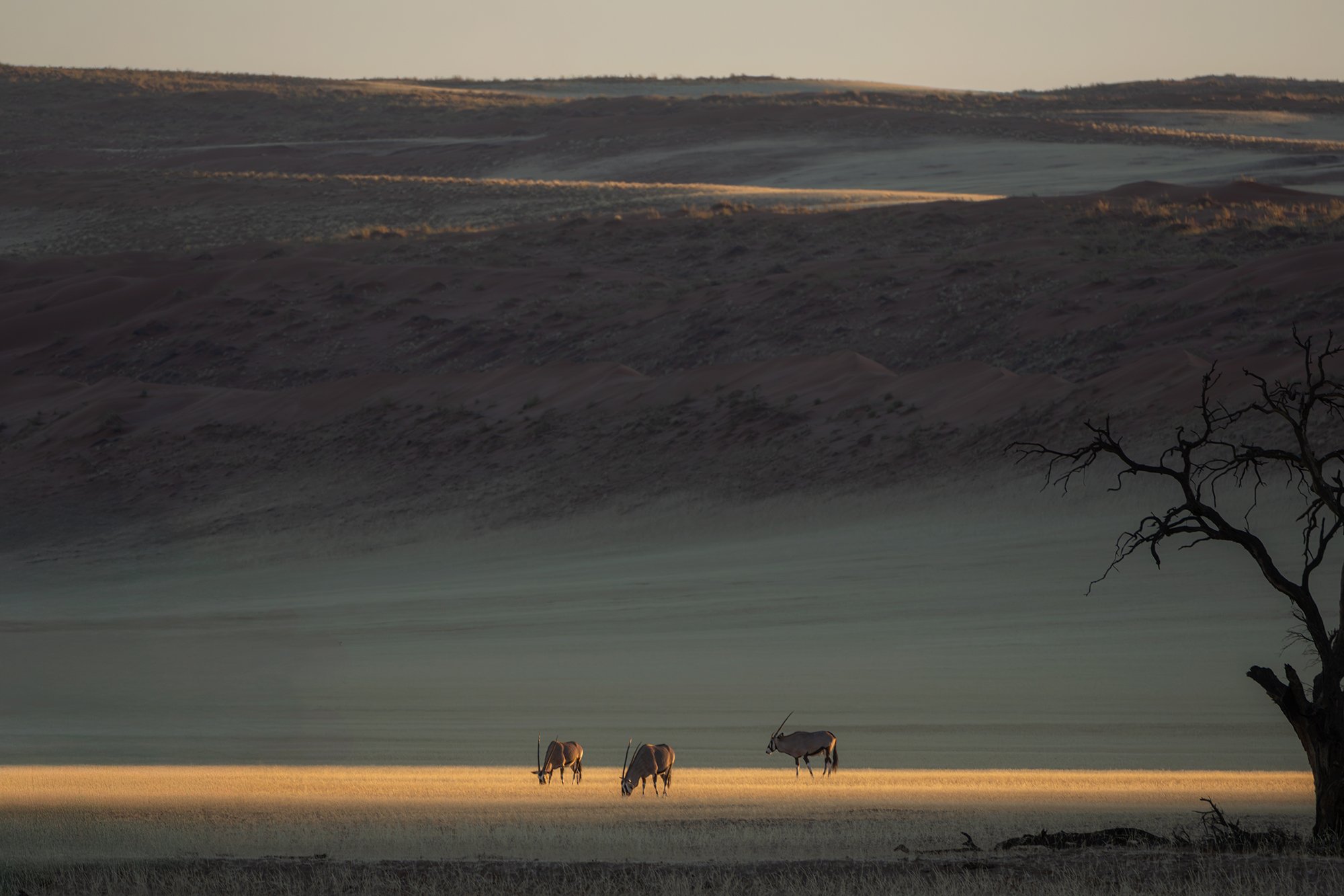 Namibia_A1_8854
