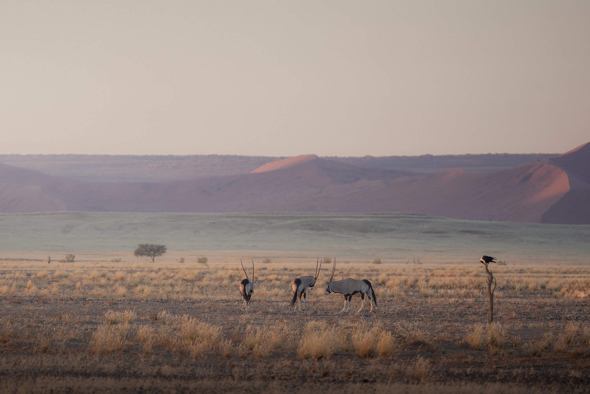 Namibia_A1_8888