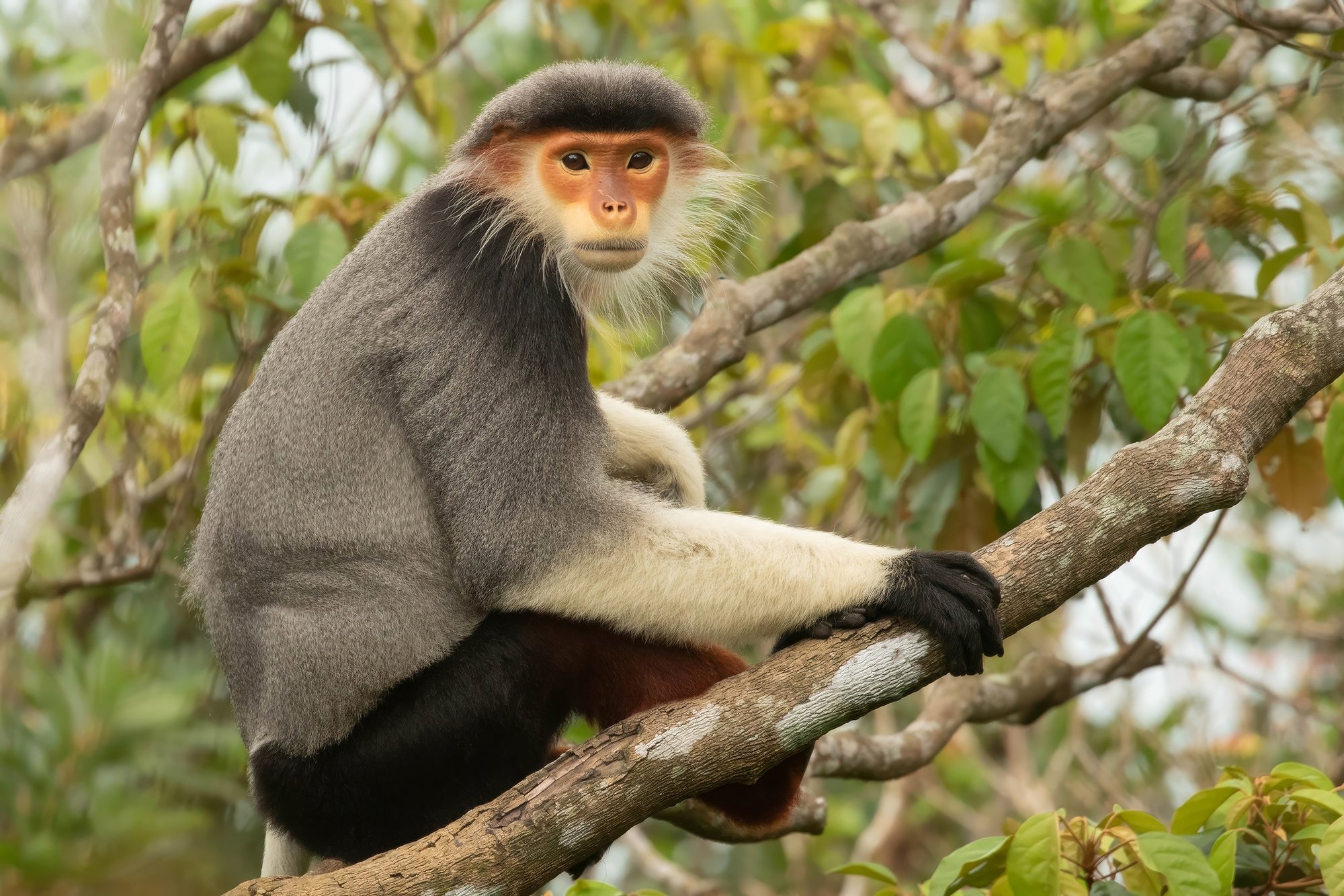 vietnam wildlife tours 10