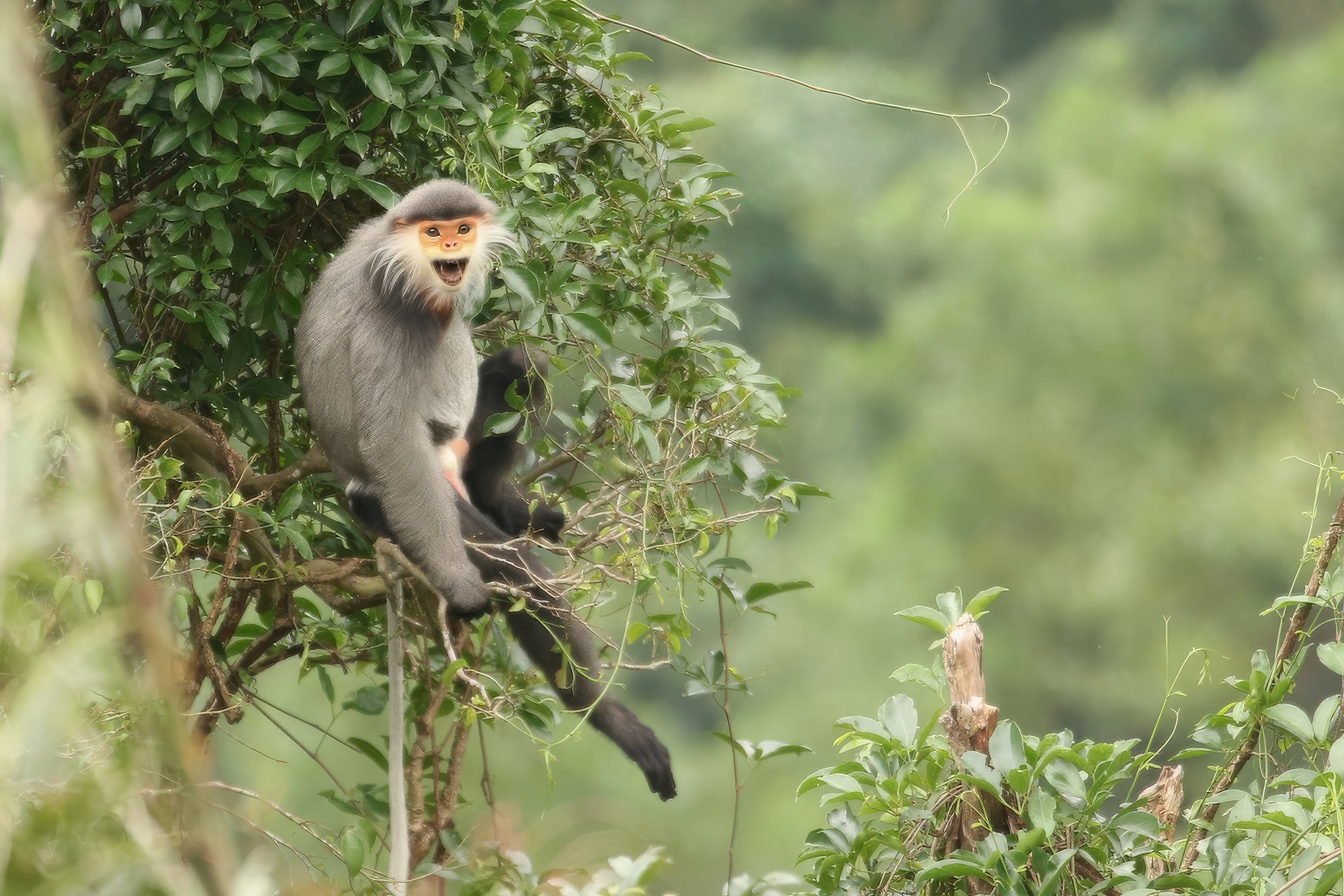 vietnam wildlife tours 12