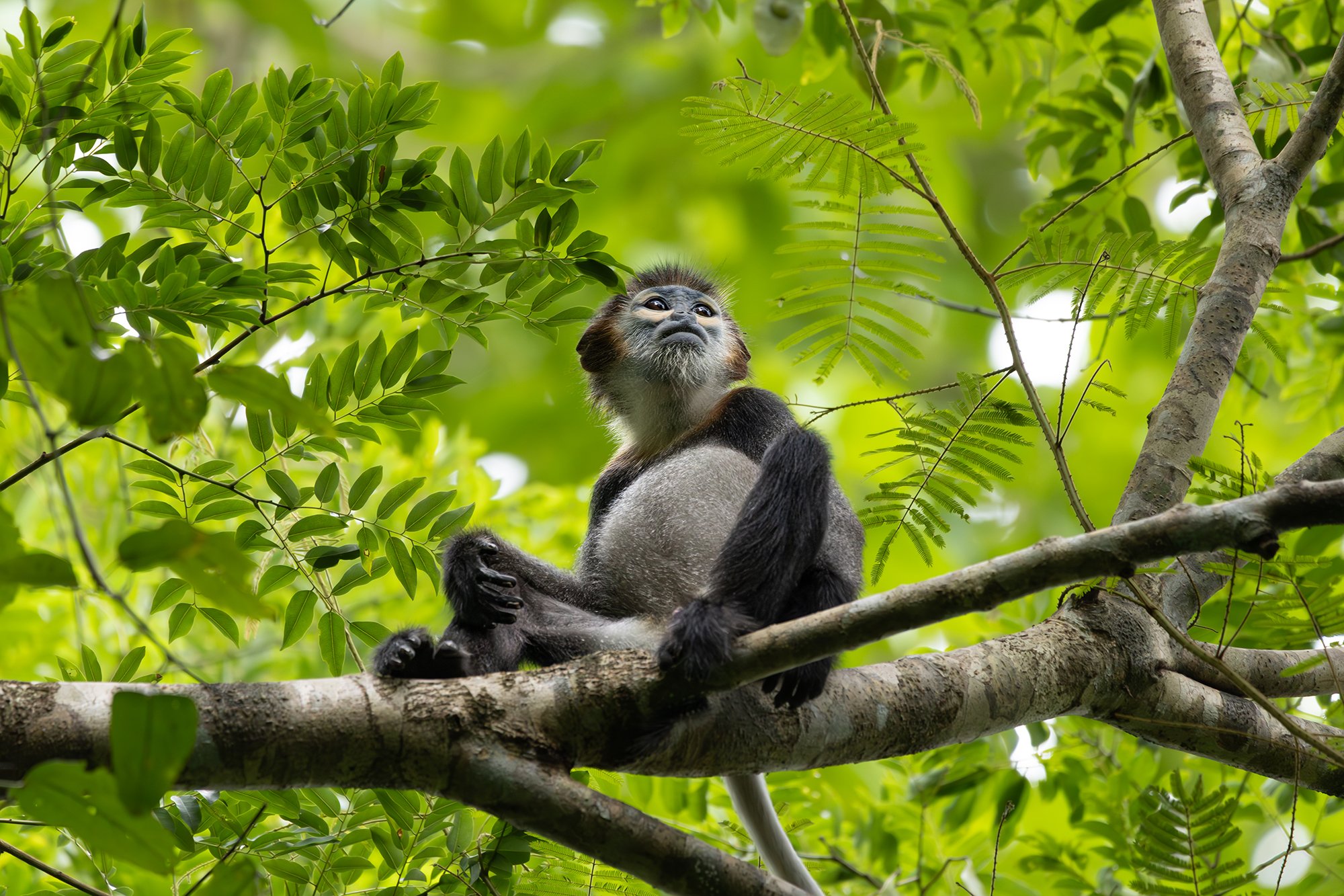 vietnam wildlife tours 13