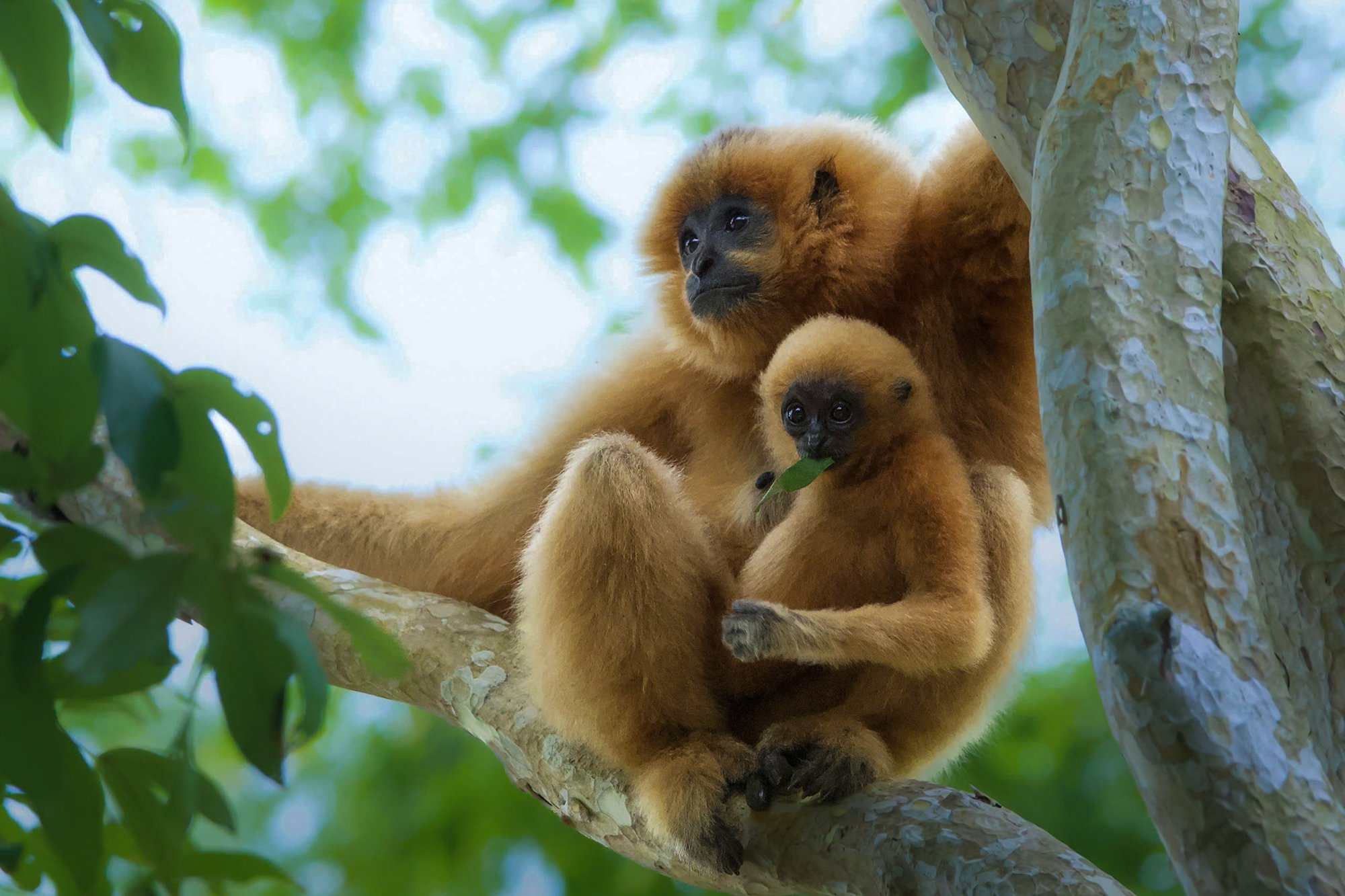 vietnam wildlife tours 2