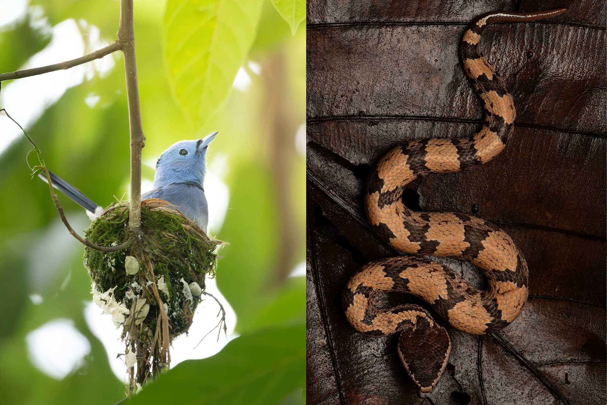 vietnam wildlife tours 6