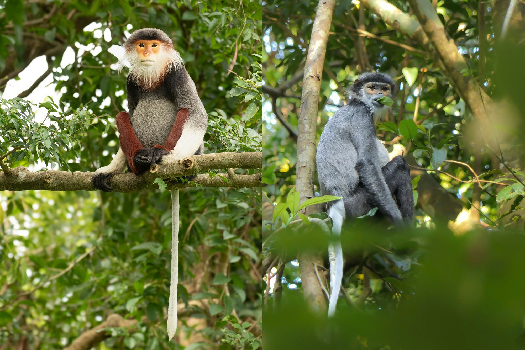 vietnam wildlife tours 9