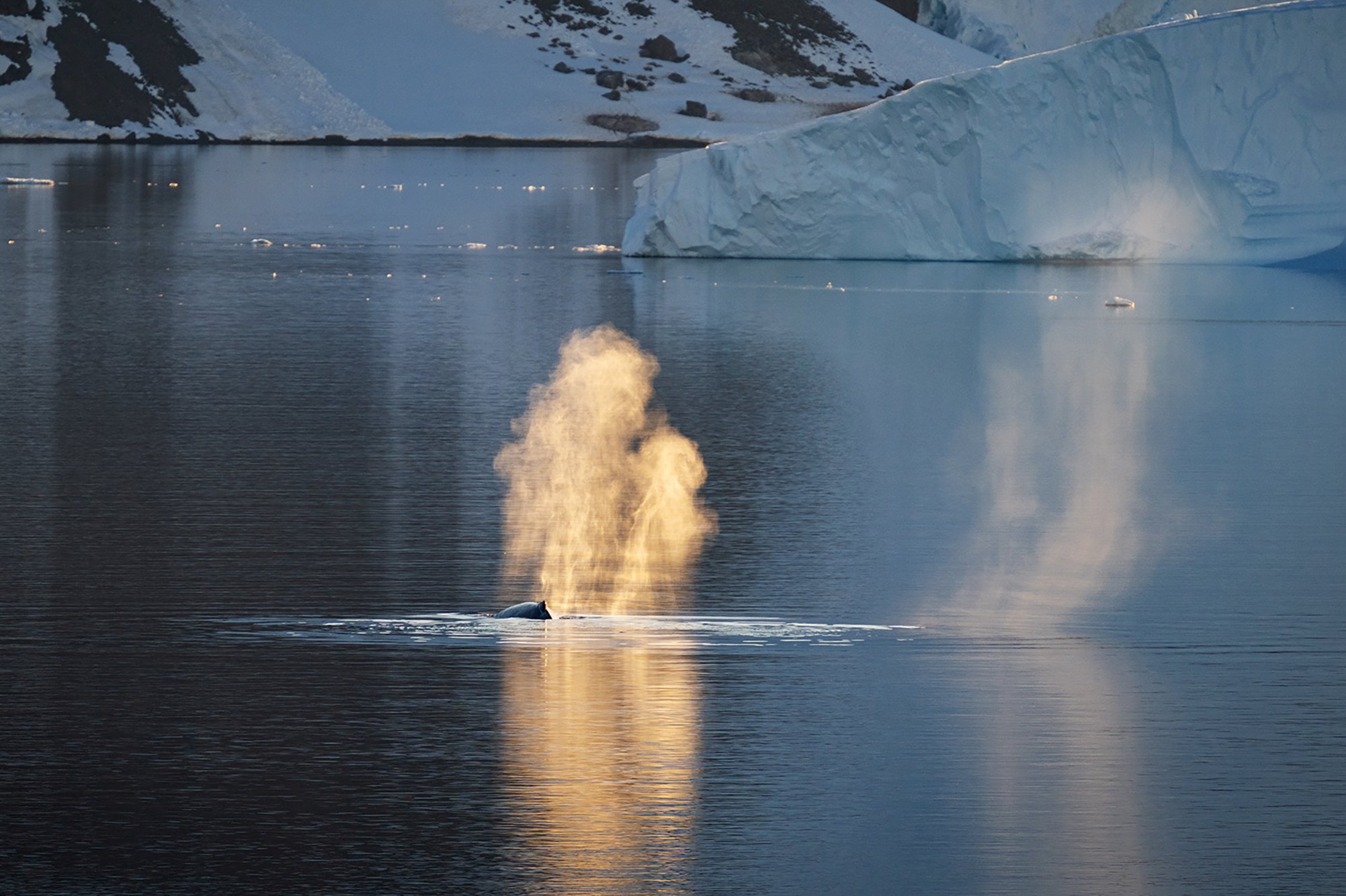 Antarctica_White_Continent_1