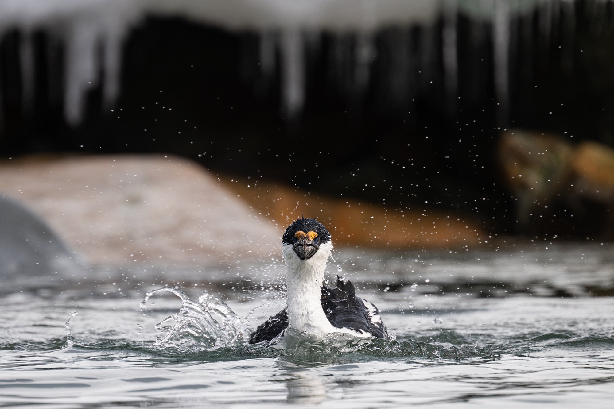 Antarctica_White_Continent_3