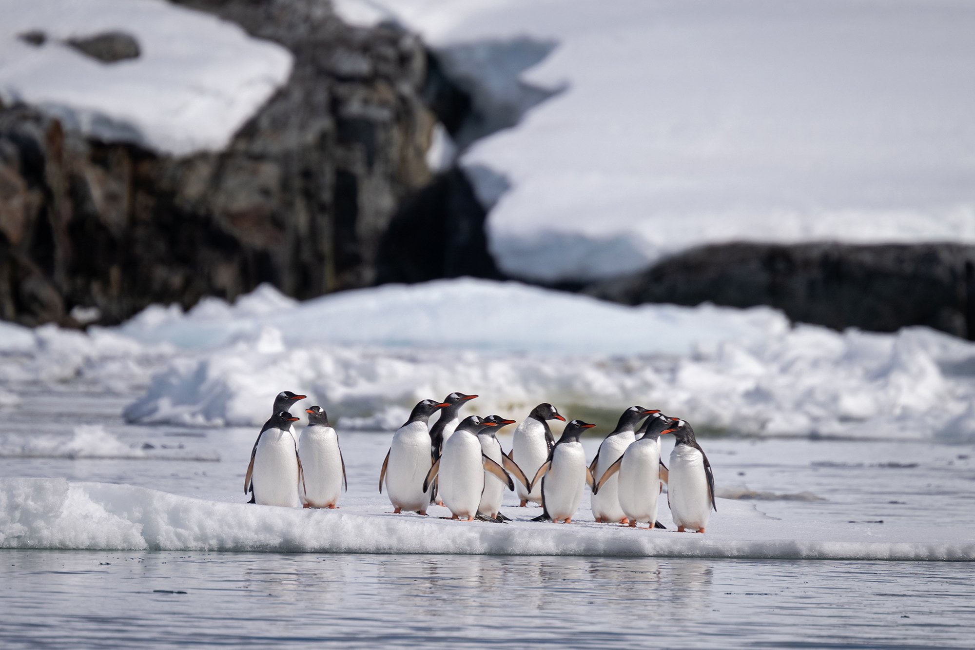 Antarctica_White_Continent_4