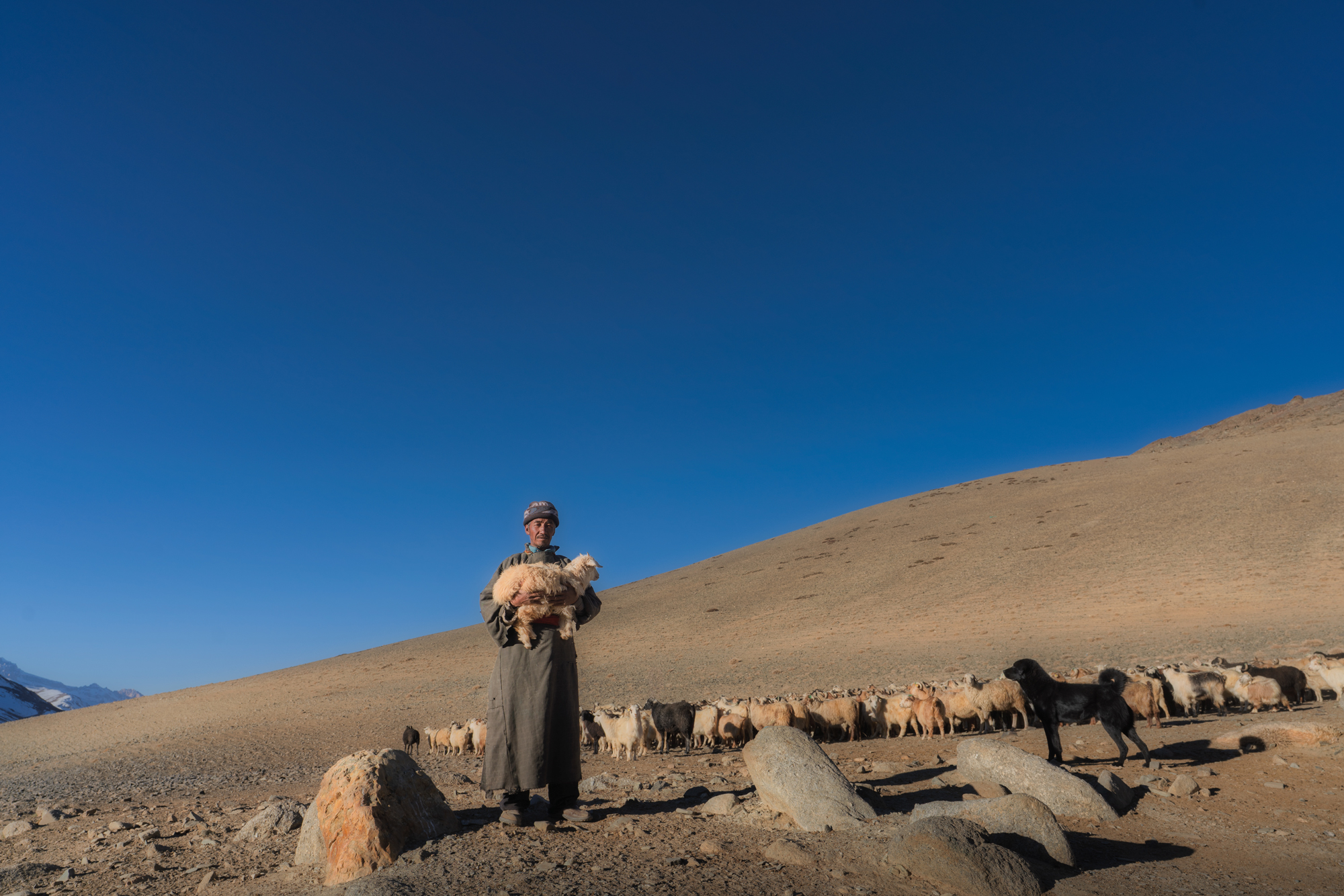 Changpa-Nomads-Ladakh_DSC1942